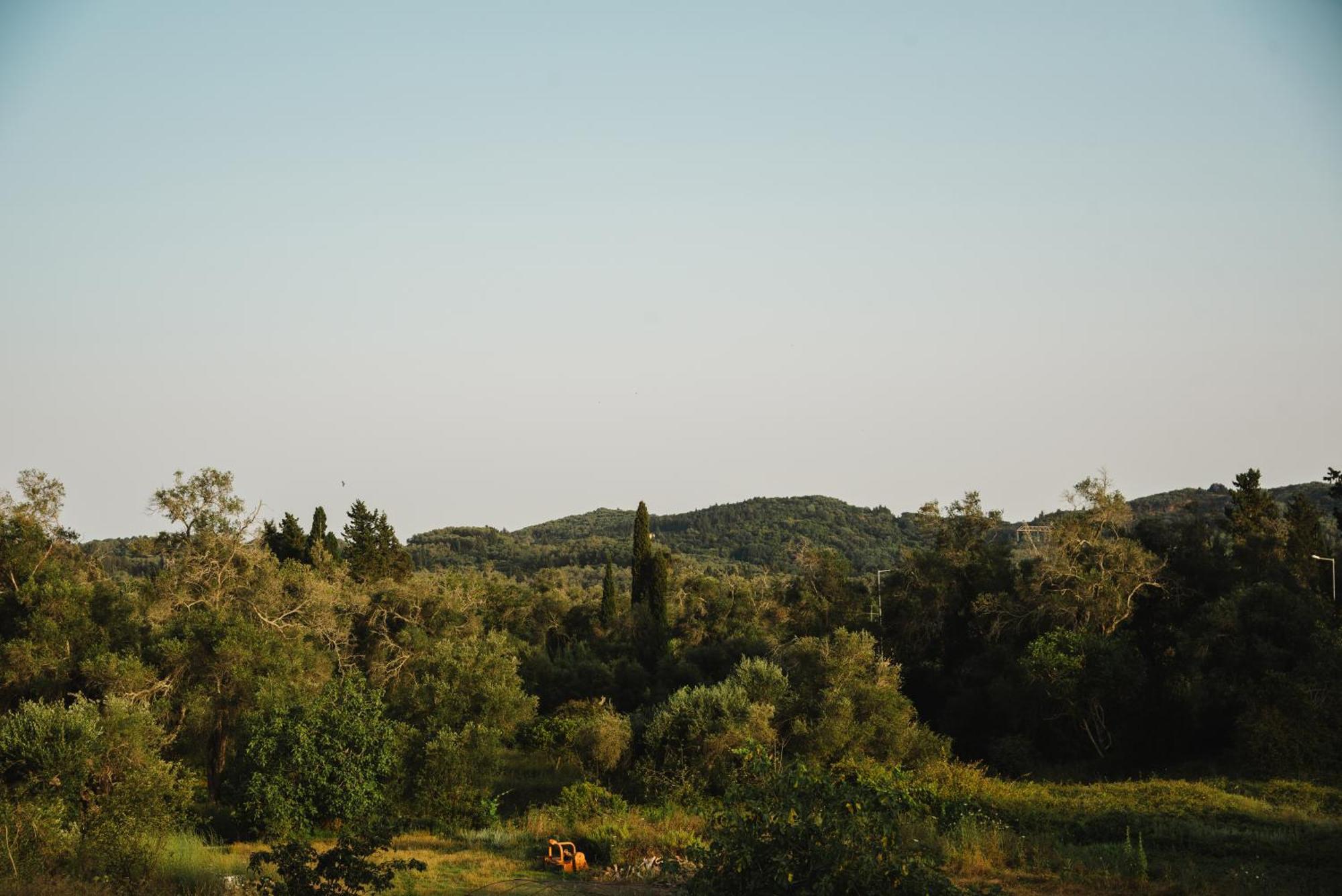 Dimitris House *